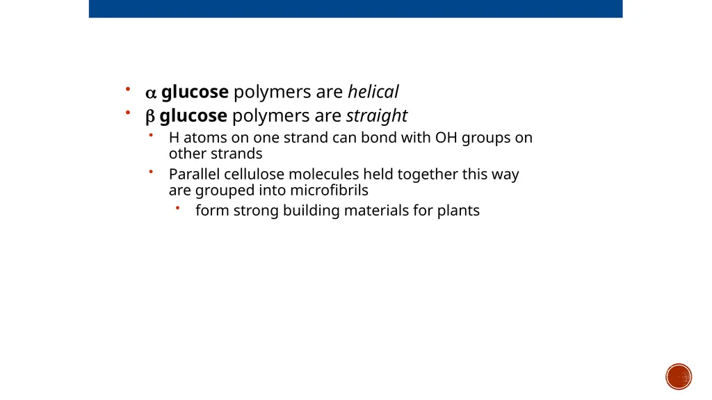 Macromolecules AP Biology 2018 Overview: The - slide 19 of 91