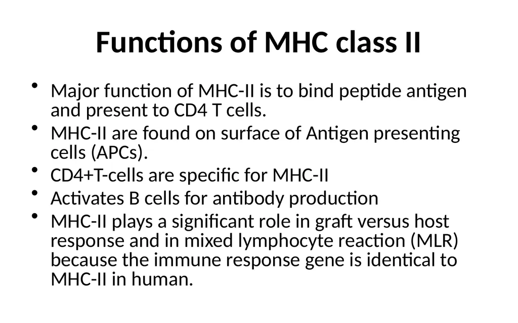 MHC Major Histocompatibility Complex Unit III - slide 13 of 19