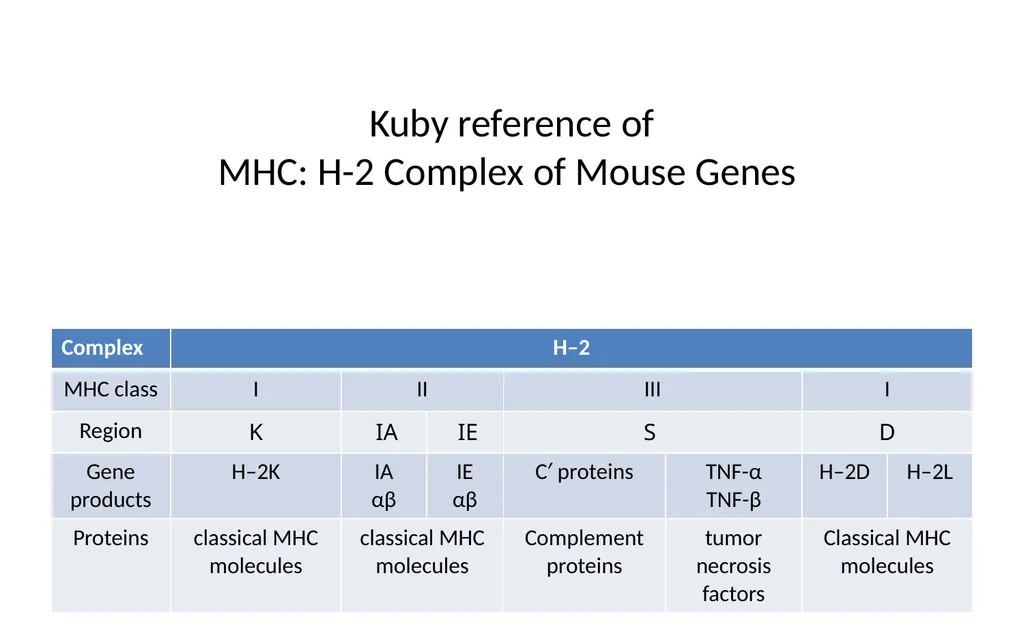 MHC Major Histocompatibility Complex Unit III - slide 19 of 19