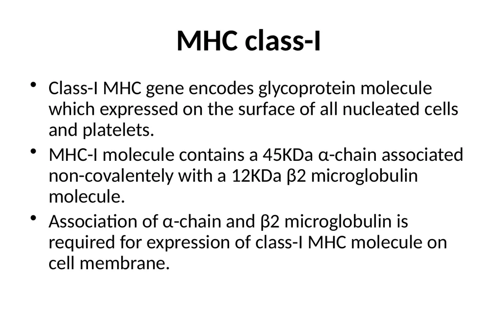 MHC Major Histocompatibility Complex Unit III - slide 6 of 19