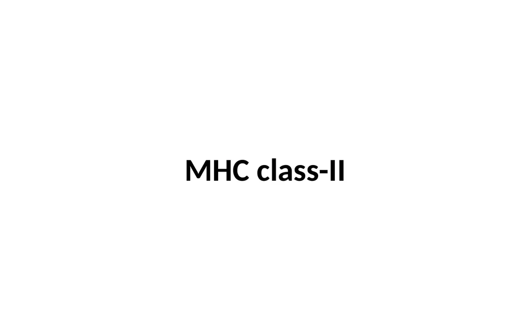 MHC Major Histocompatibility Complex Unit III - slide 10 of 19