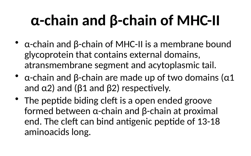 MHC Major Histocompatibility Complex Unit III - slide 12 of 19