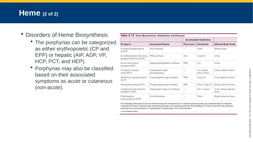 CHAPTER 6 Proteins and Heme Derivatives Learning - slide 26 of 27