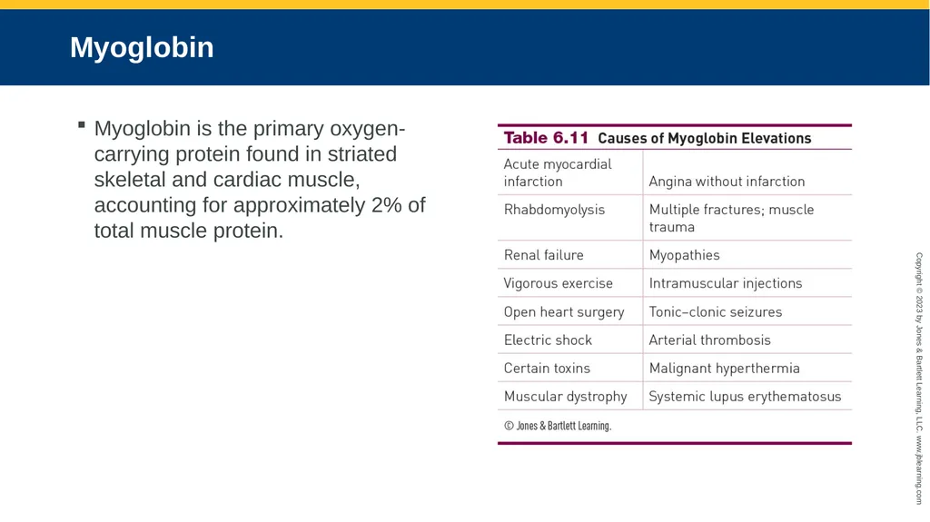 CHAPTER 6 Proteins and Heme Derivatives Learning - slide 24 of 27