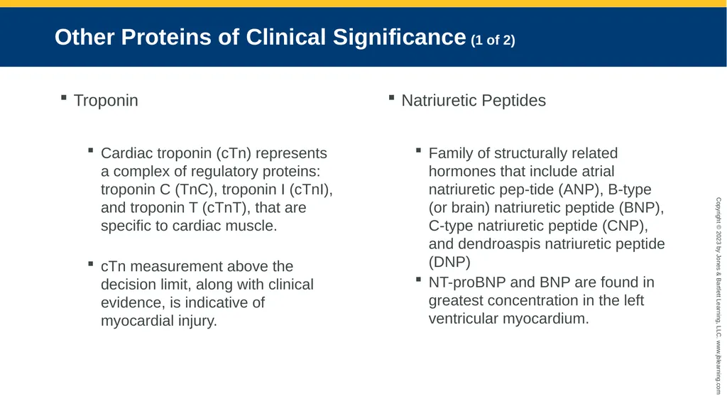 CHAPTER 6 Proteins and Heme Derivatives Learning - slide 14 of 27