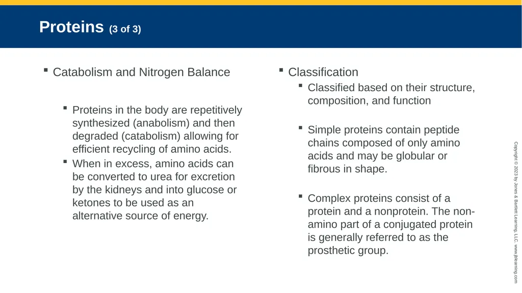 CHAPTER 6 Proteins and Heme Derivatives Learning - slide 11 of 27