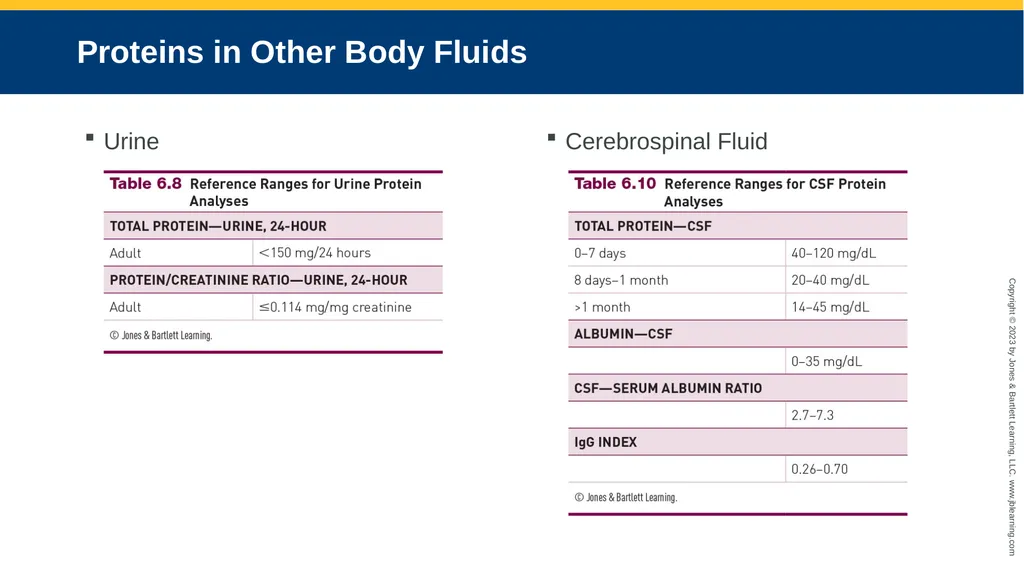 CHAPTER 6 Proteins and Heme Derivatives Learning - slide 22 of 27
