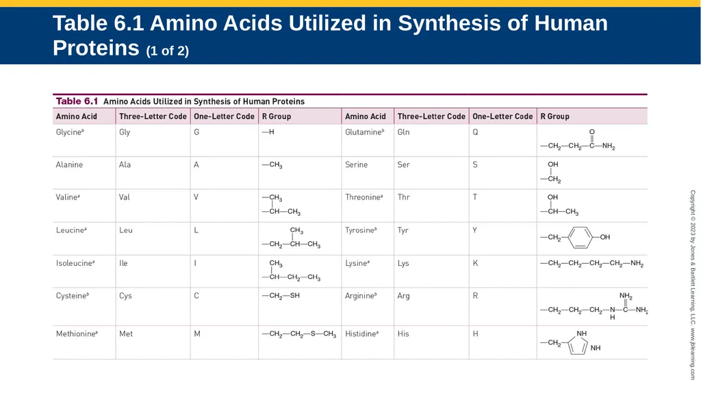 CHAPTER 6 Proteins and Heme Derivatives Learning - slide 6 of 27