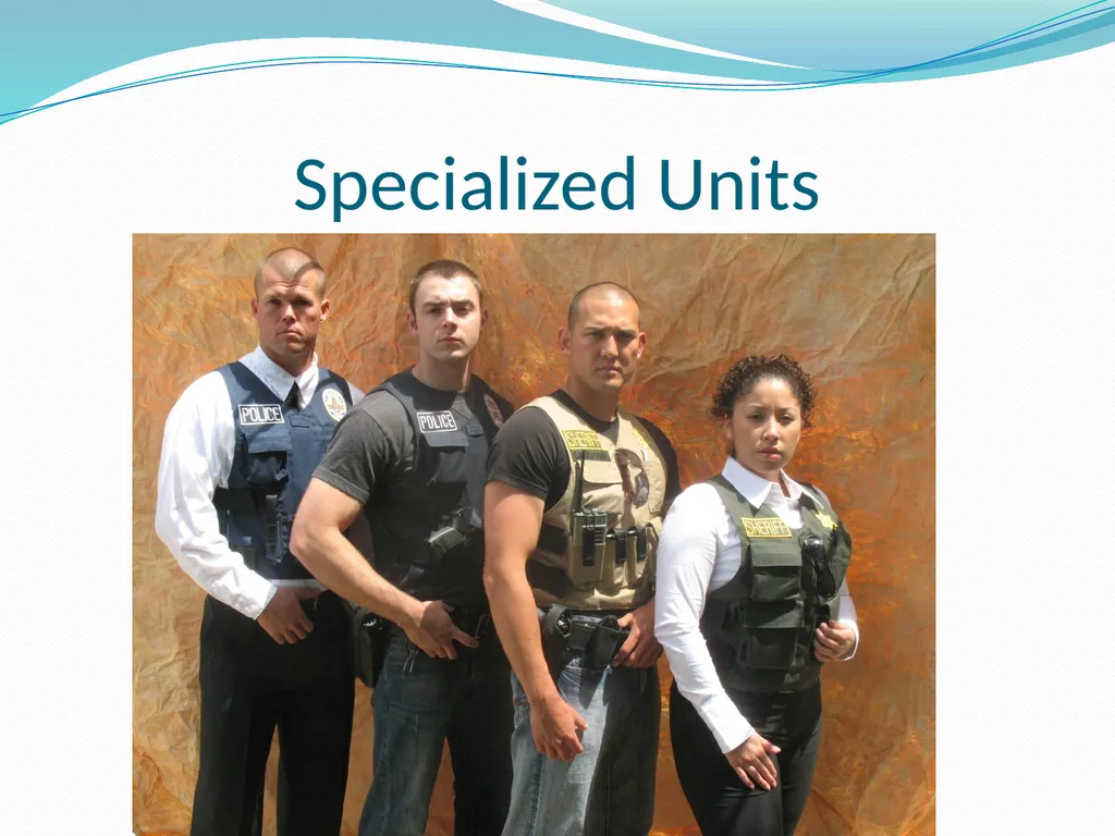 External Vest Carriers Examining the Advantages of - slide 12 of 17