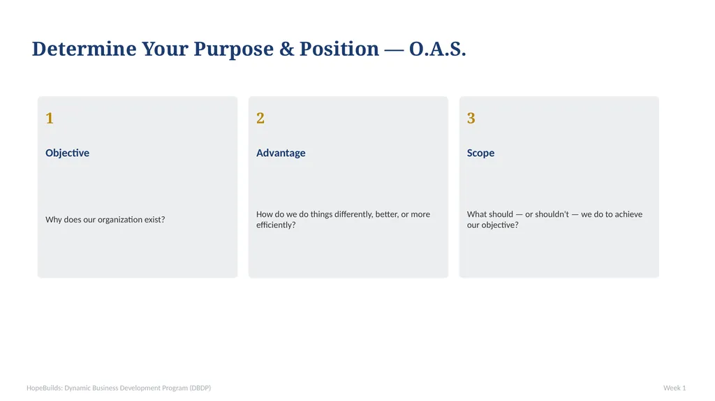 WEEK 1 — The VSI Model: Vision, Strategy, - slide 10 of 35