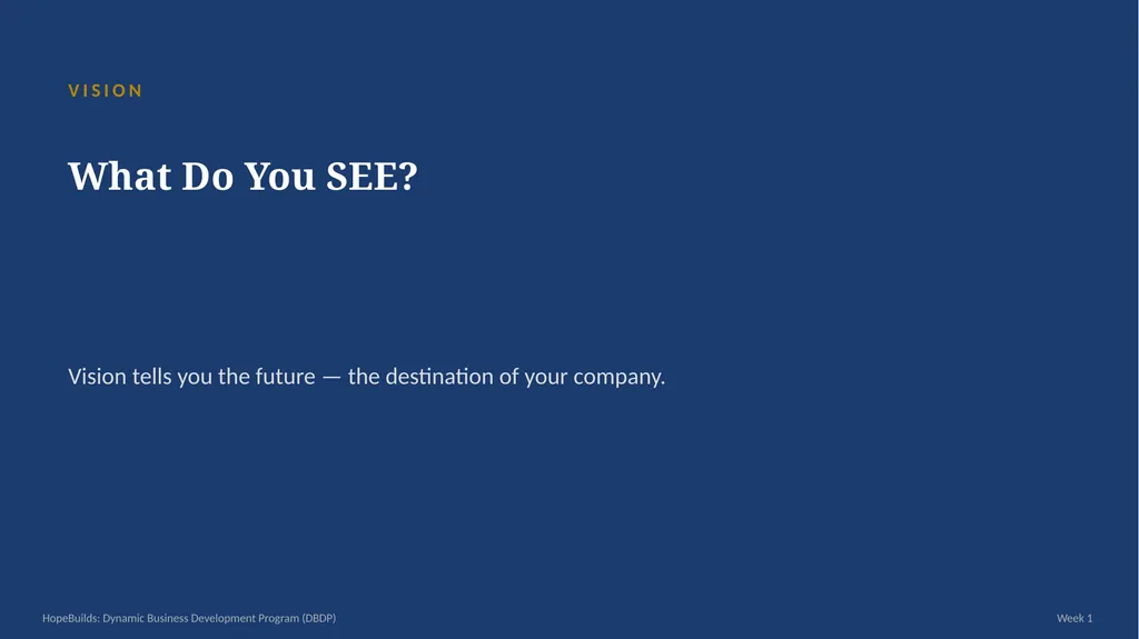 WEEK 1 — The VSI Model: Vision, Strategy, - slide 7 of 35