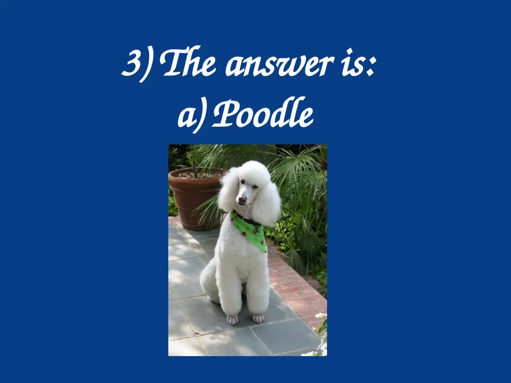 Why Learn French? French is a global language - slide 44 of 55