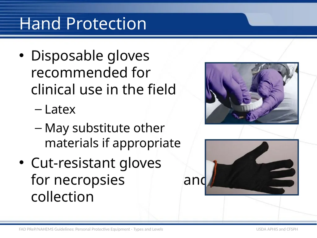 Personal Protective Equipment Types and Levels - slide 13 of 24