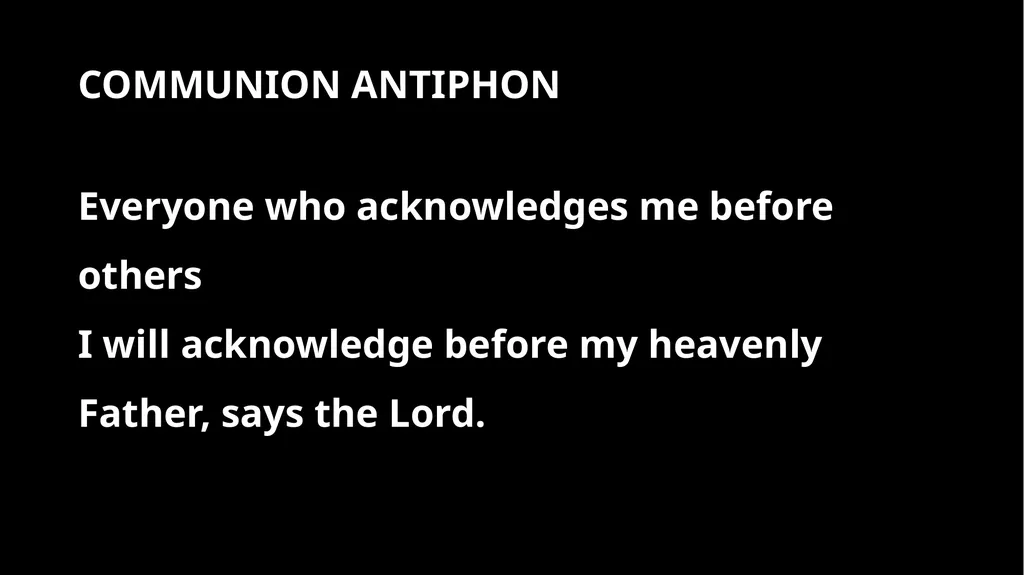 MASS FOR PERSECUTED CHRISTIANS RED NOVEMBER [DATE] - slide 15 of 28