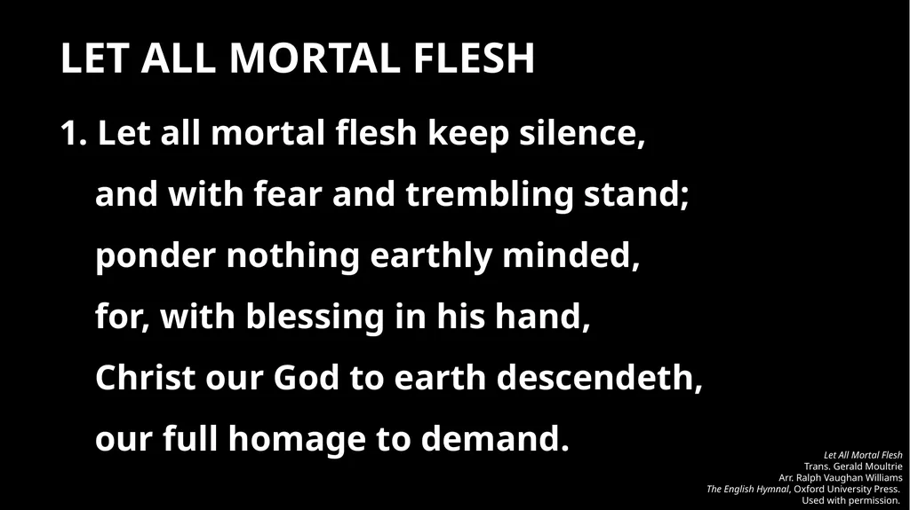MASS FOR PERSECUTED CHRISTIANS RED NOVEMBER [DATE] - slide 10 of 28