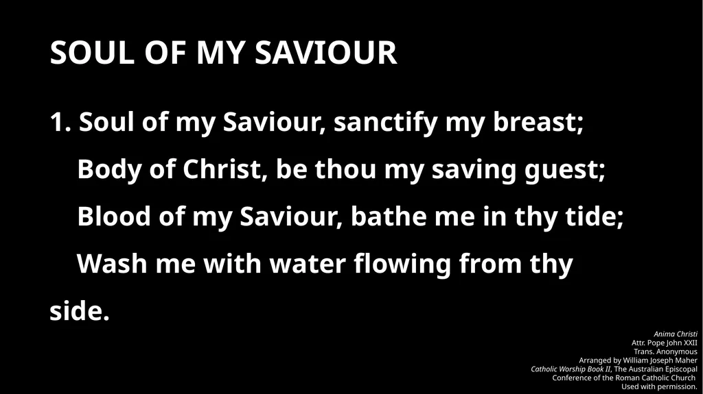 MASS FOR PERSECUTED CHRISTIANS RED NOVEMBER [DATE] - slide 25 of 28