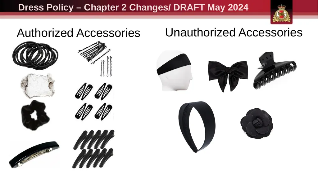 Dress Policy – Chapter 2 Changes / June 2024 - slide 12 of 13