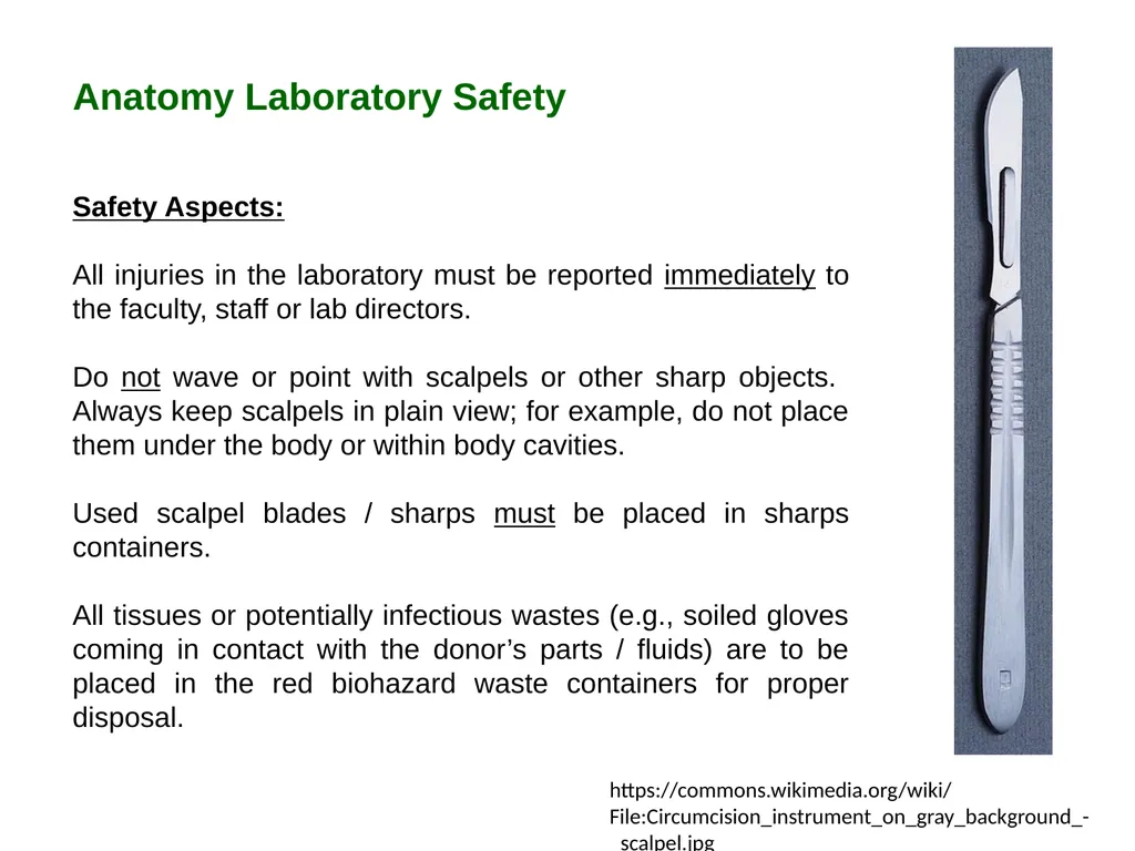 Bioethics in Anatomy Education Resources: - slide 7 of 14