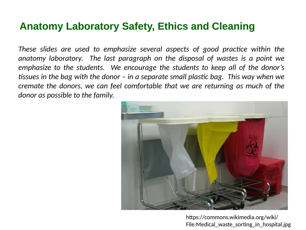 Bioethics in Anatomy Education Resources: - slide 6 of 14
