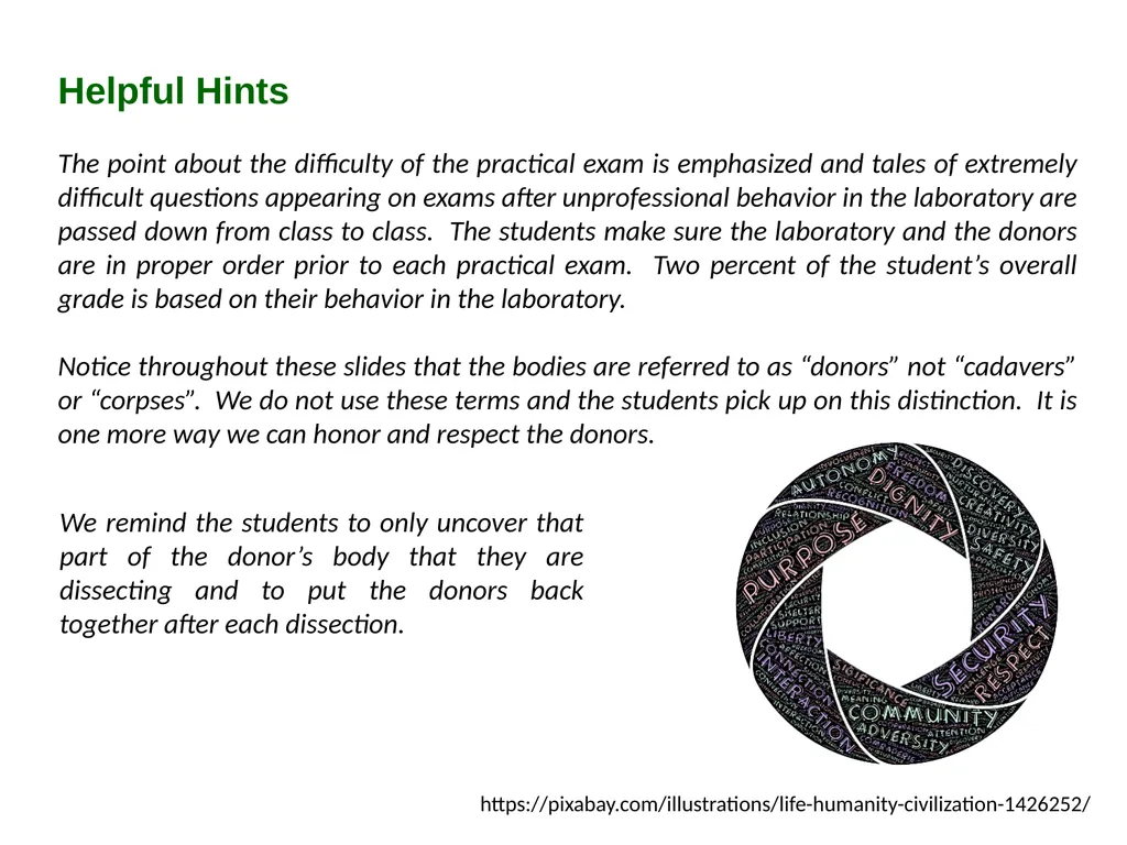Bioethics in Anatomy Education Resources: - slide 12 of 14