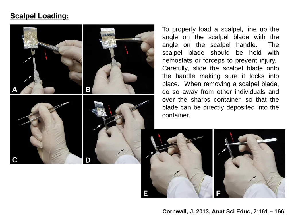 Bioethics in Anatomy Education Resources: - slide 8 of 14