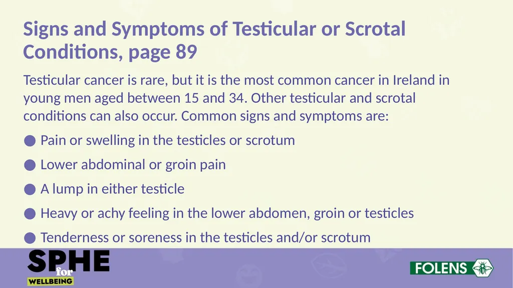 Section 2: Understanding Myself and Others Lessons - slide 52 of 71