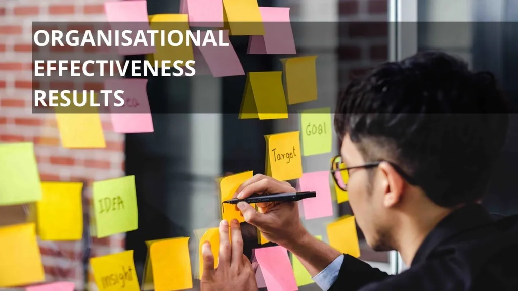 Genos Organisational Effectiveness & Engagement - slide 11 of 41