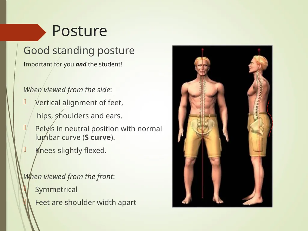 Supporting Students with Motor Needs Physical - slide 5 of 28