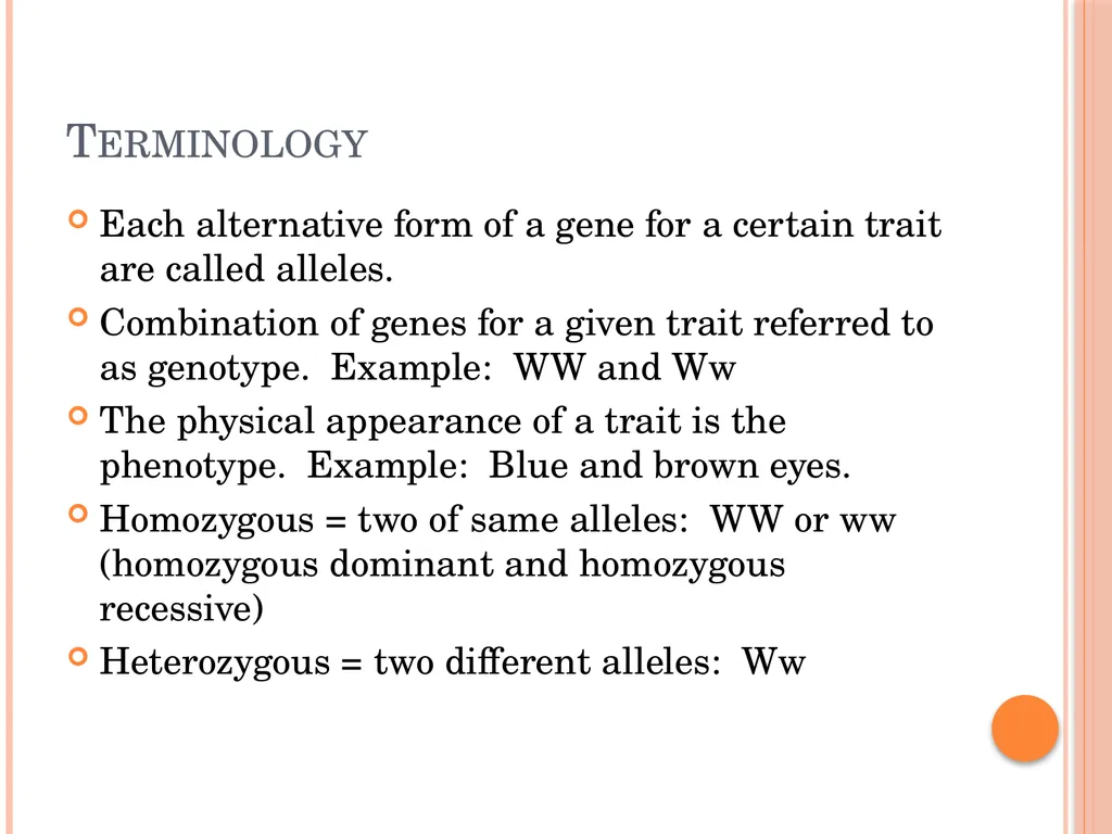 Biology Chapter 8 Heredity 8.1 Objectives Discuss - slide 13 of 23