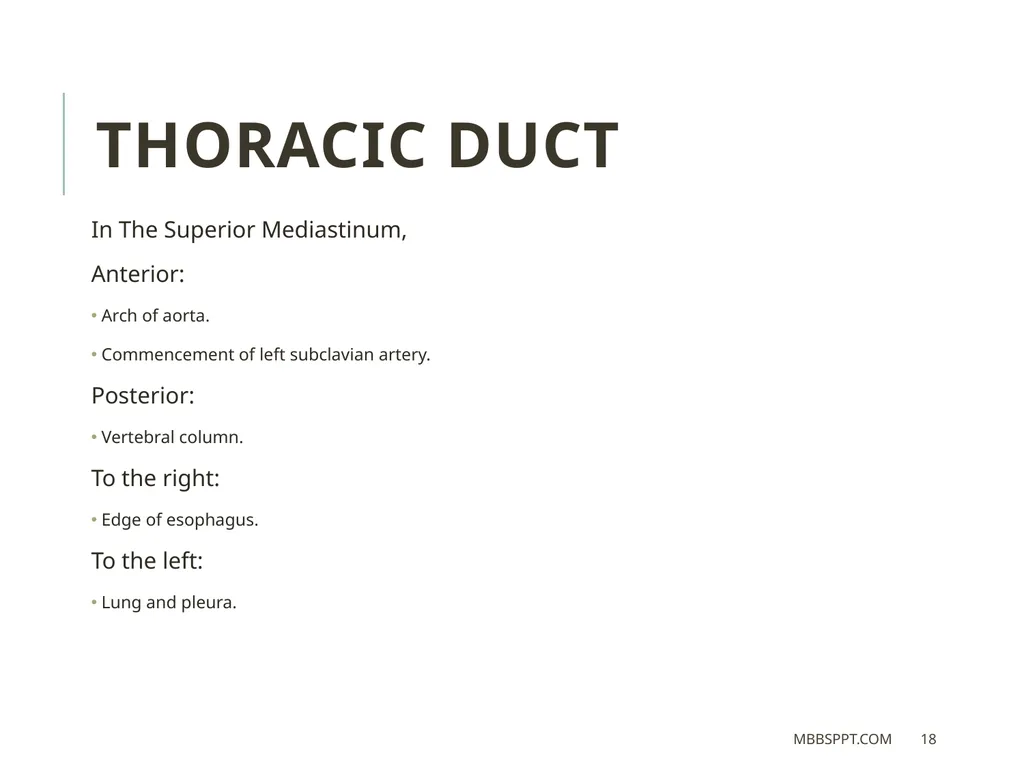 THORACIC DUCT BY MBBSPPT.COM The thoracic duct is - slide 18 of 26