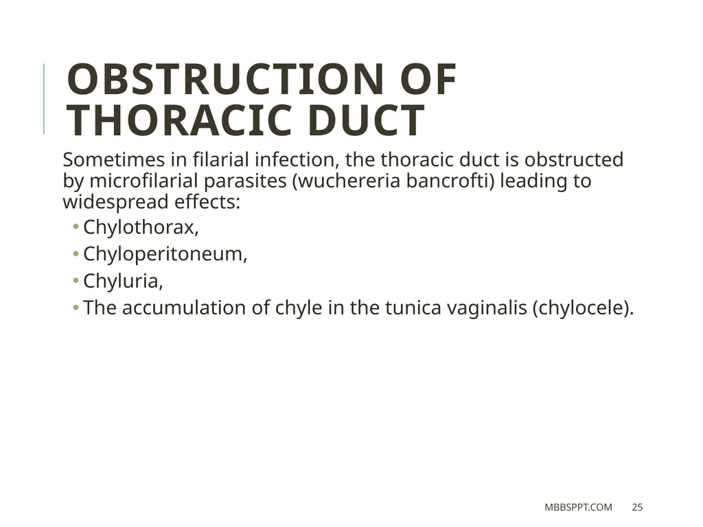 THORACIC DUCT BY MBBSPPT.COM The thoracic duct is - slide 25 of 26