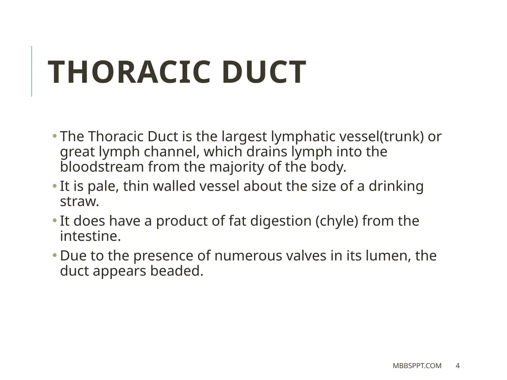 THORACIC DUCT BY MBBSPPT.COM The thoracic duct is - slide 4 of 26