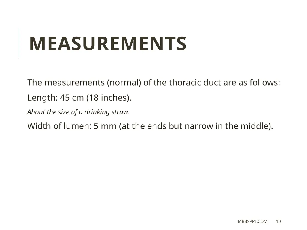 THORACIC DUCT BY MBBSPPT.COM The thoracic duct is - slide 10 of 26