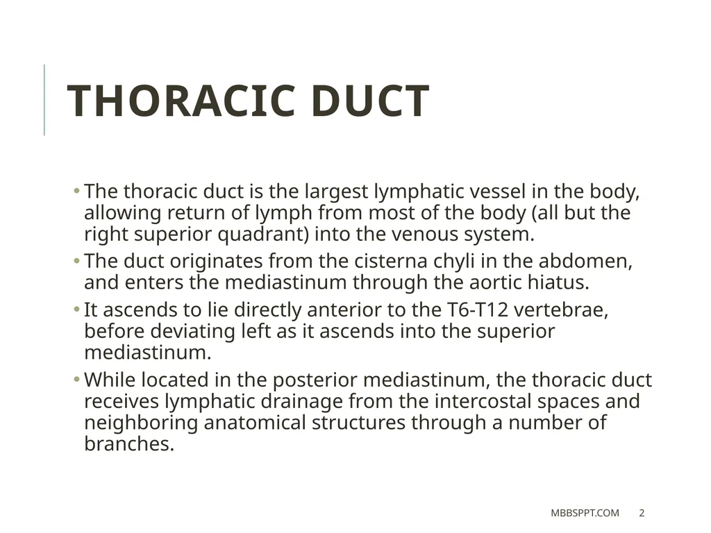 THORACIC DUCT BY MBBSPPT.COM The thoracic duct is - slide 2 of 26