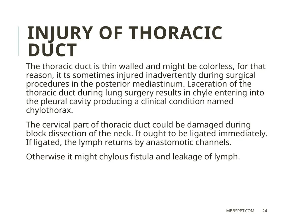 THORACIC DUCT BY MBBSPPT.COM The thoracic duct is - slide 24 of 26