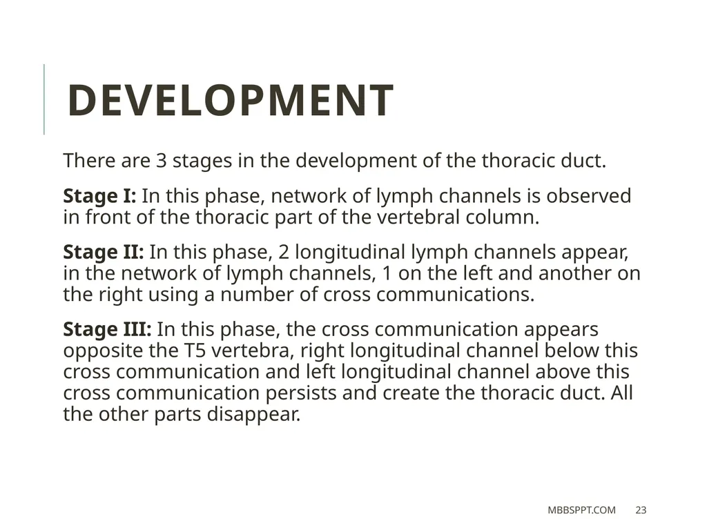 THORACIC DUCT BY MBBSPPT.COM The thoracic duct is - slide 23 of 26