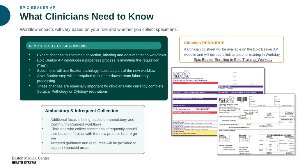 Epic Beaker Anatomic Pathology (AP) Implementation - slide 3 of 15