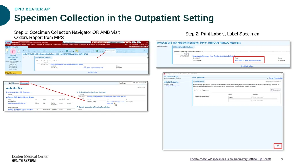 Epic Beaker Anatomic Pathology (AP) Implementation - slide 5 of 15