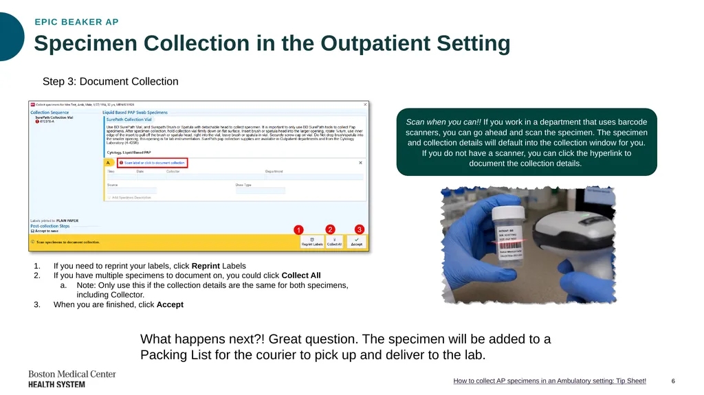 Epic Beaker Anatomic Pathology (AP) Implementation - slide 6 of 15