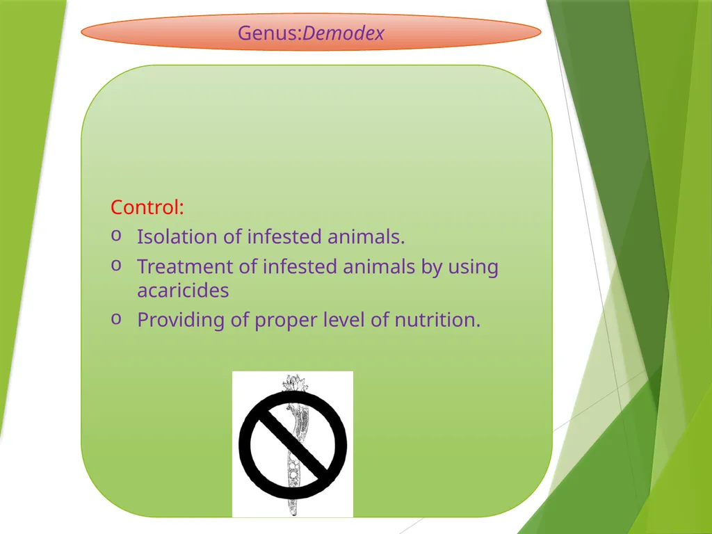 Image source: Google image Mites (II) Mk- vthr - slide 15 of 20