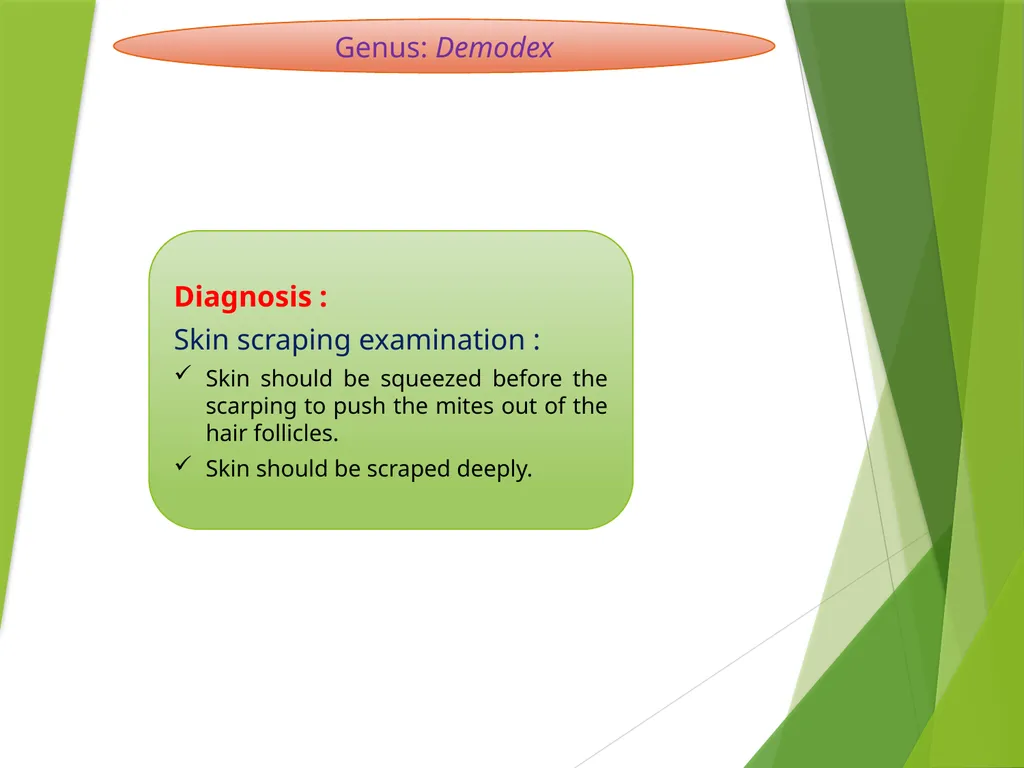 Image source: Google image Mites (II) Mk- vthr - slide 12 of 20