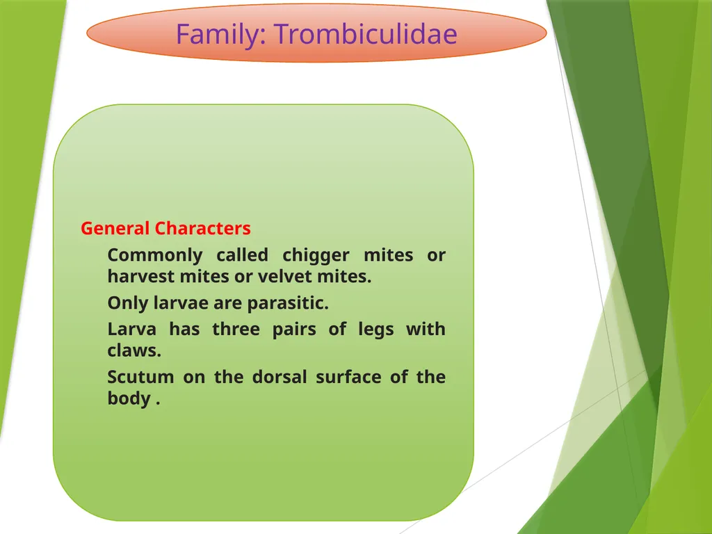 Image source: Google image Mites (II) Mk- vthr - slide 18 of 20