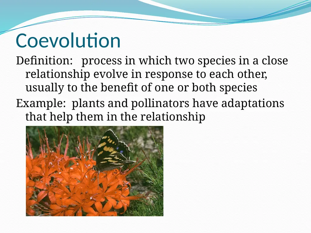Species Interactions Chapter 8, Sections 2 - slide 35 of 37