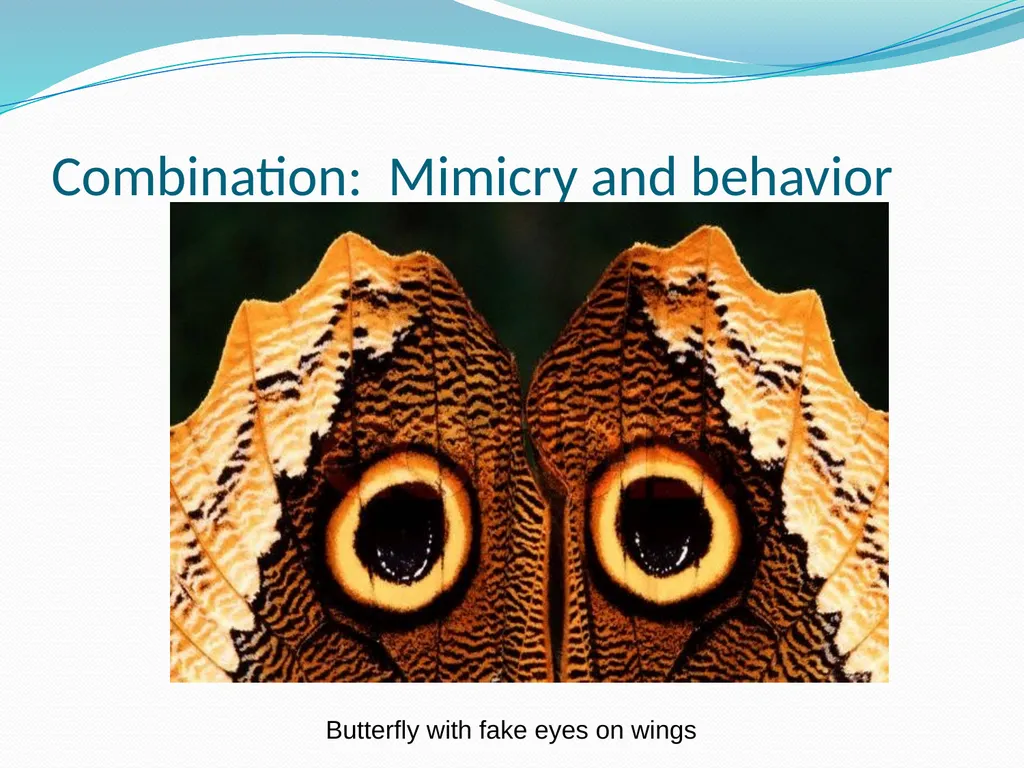 Species Interactions Chapter 8, Sections 2 - slide 23 of 37
