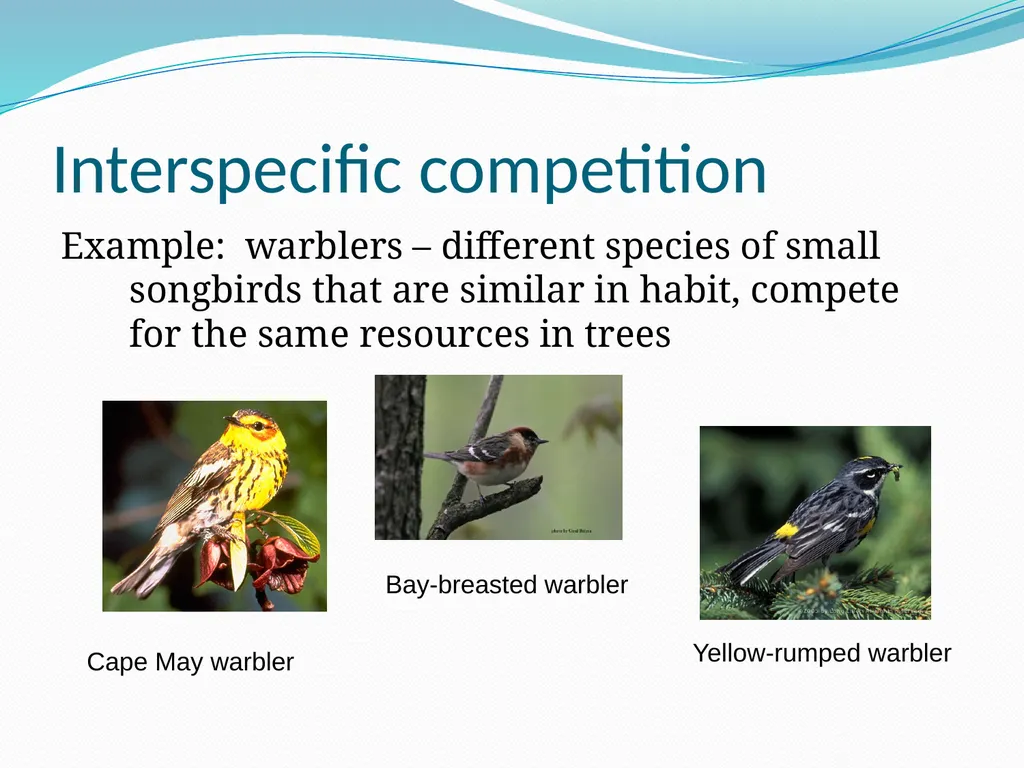 Species Interactions Chapter 8, Sections 2 - slide 10 of 37
