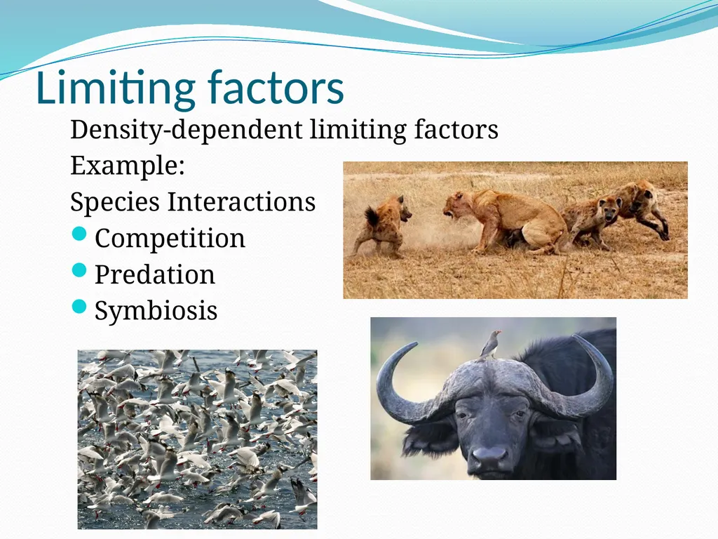 Species Interactions Chapter 8, Sections 2 - slide 5 of 37
