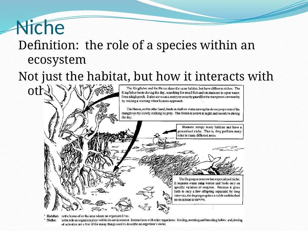 Species Interactions Chapter 8, Sections 2 - slide 6 of 37