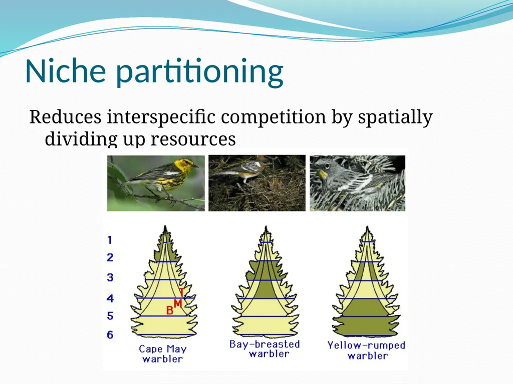 Species Interactions Chapter 8, Sections 2 - slide 11 of 37