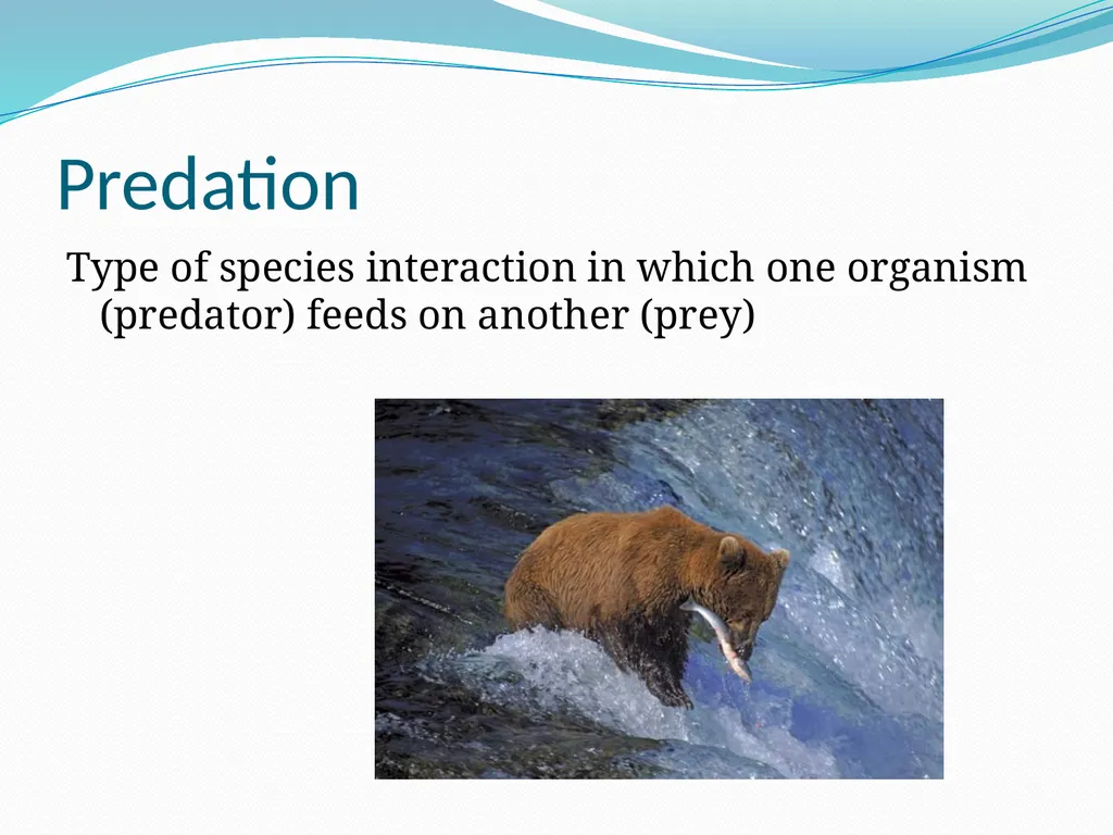 Species Interactions Chapter 8, Sections 2 - slide 15 of 37