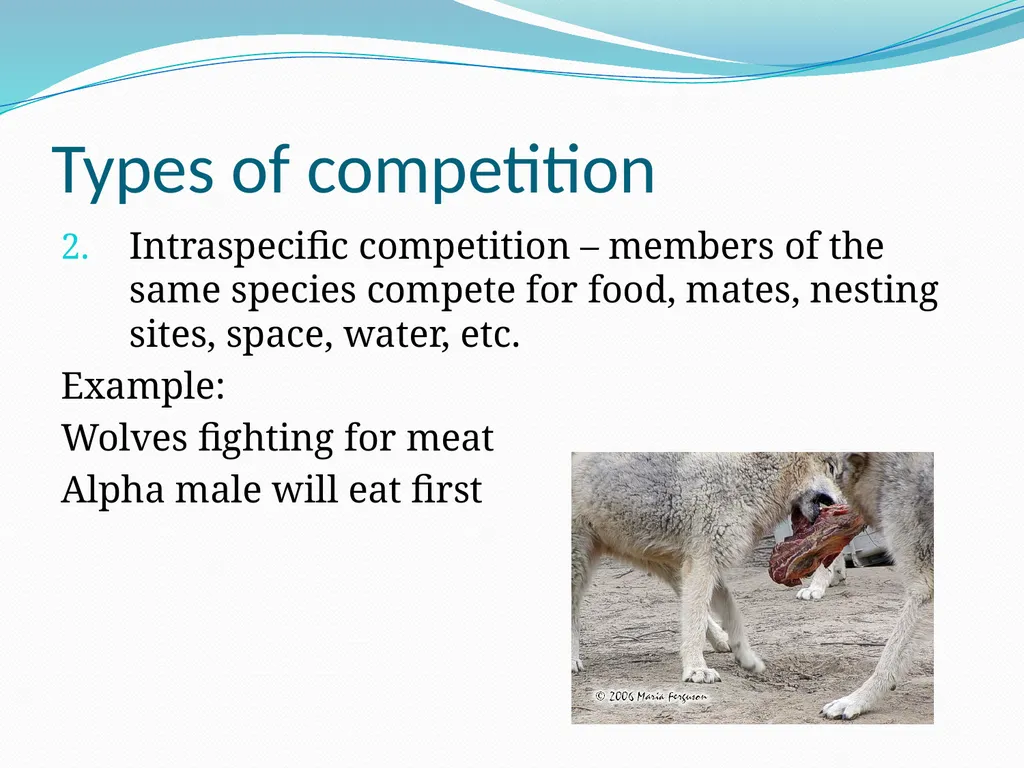 Species Interactions Chapter 8, Sections 2 - slide 13 of 37
